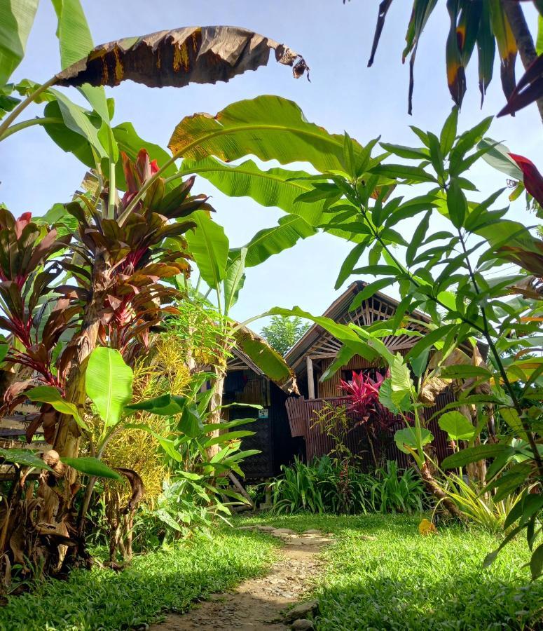Hotel Banana Grove El Nido Extérieur photo