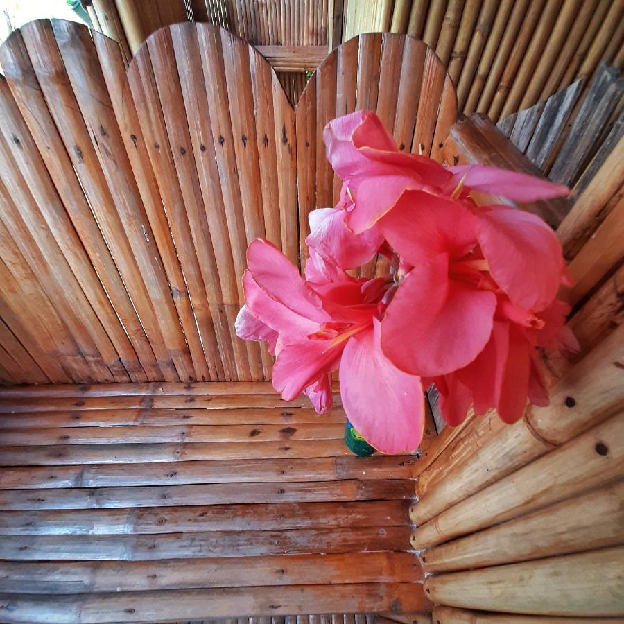 Hotel Banana Grove El Nido Extérieur photo