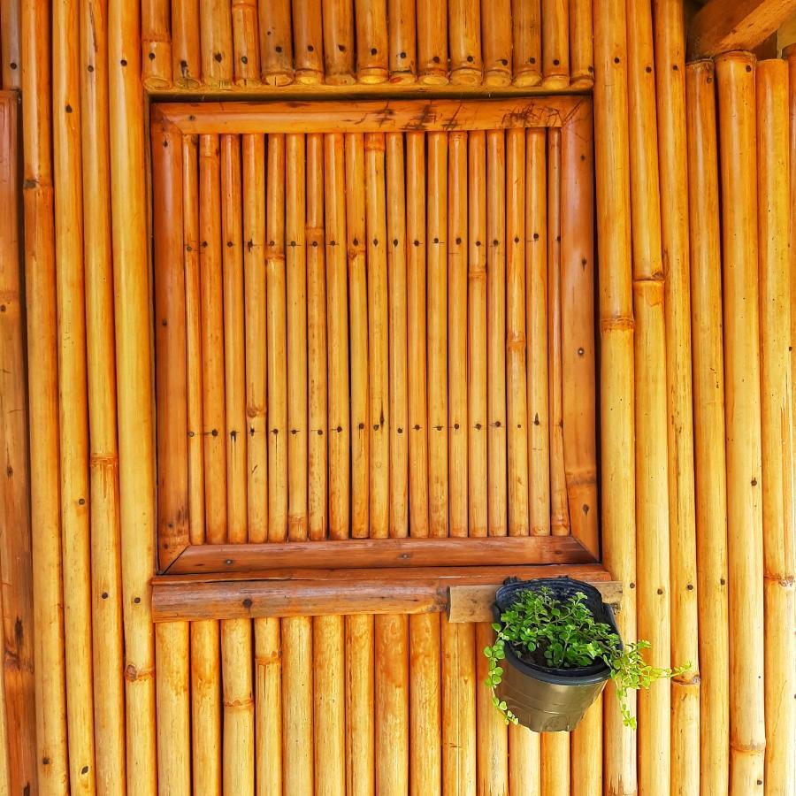 Hotel Banana Grove El Nido Extérieur photo