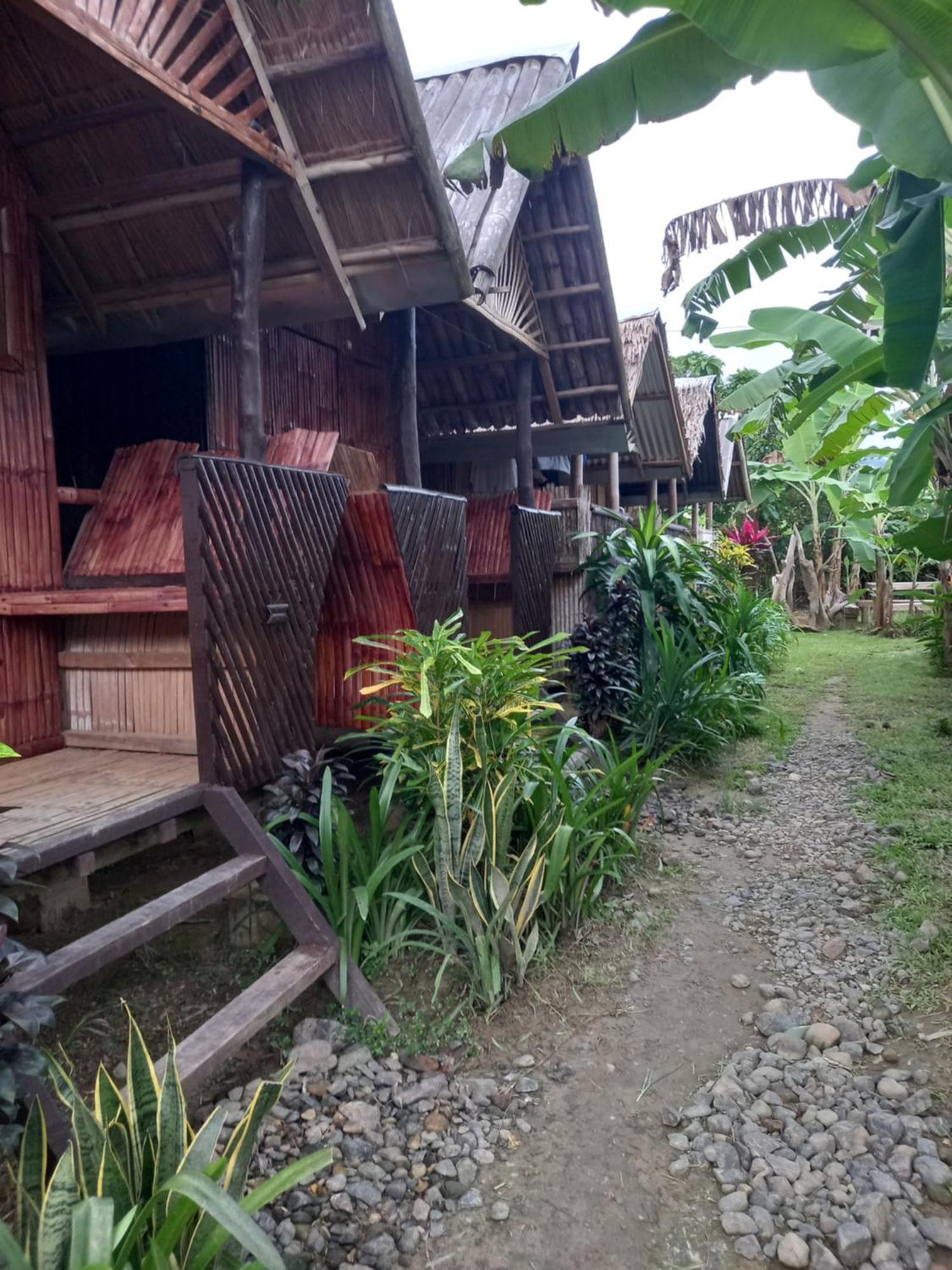 Hotel Banana Grove El Nido Chambre photo